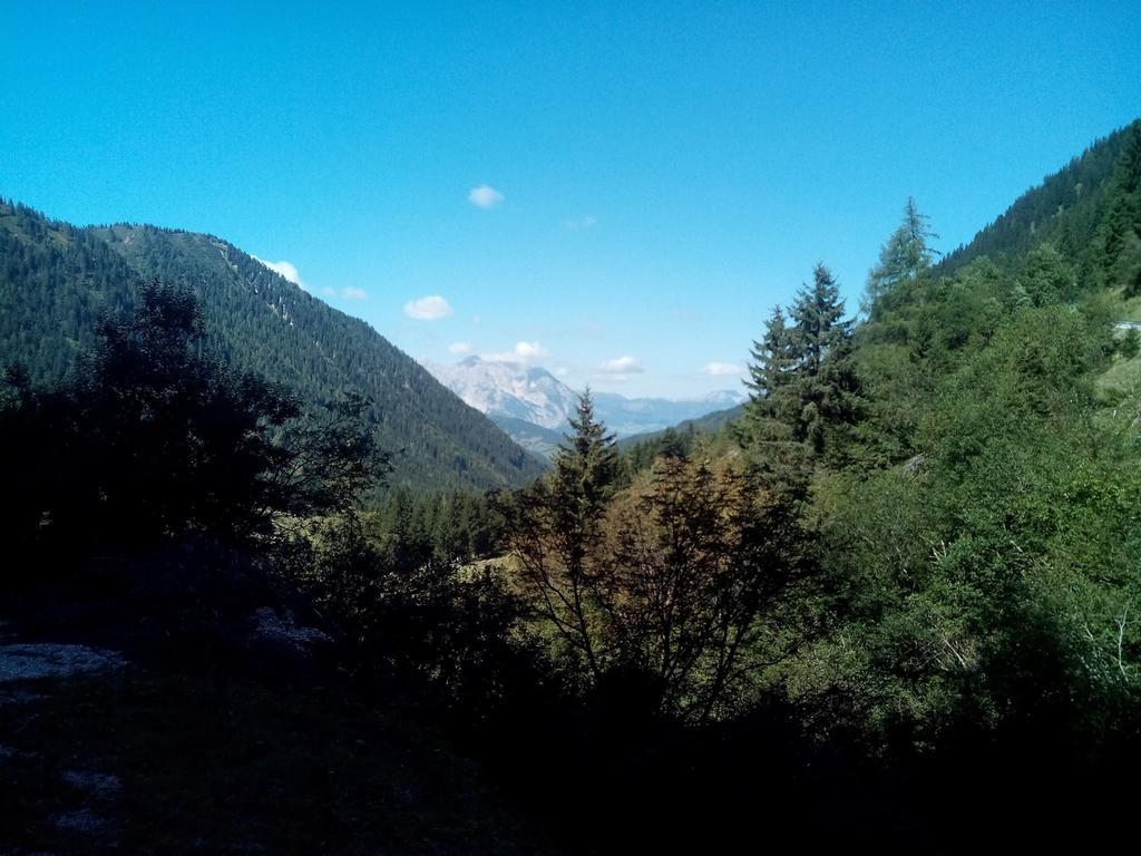 Gasthof Murauerhof Ξενοδοχείο Sankt Peter am Kammersberg Εξωτερικό φωτογραφία