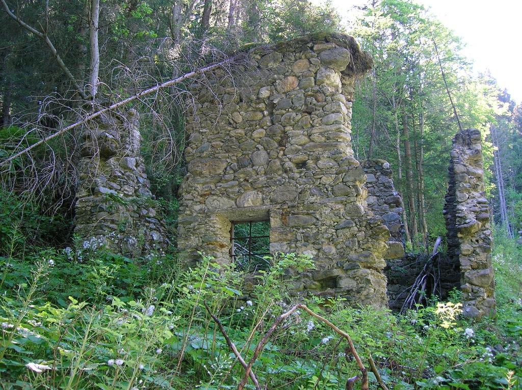 Gasthof Murauerhof Ξενοδοχείο Sankt Peter am Kammersberg Εξωτερικό φωτογραφία